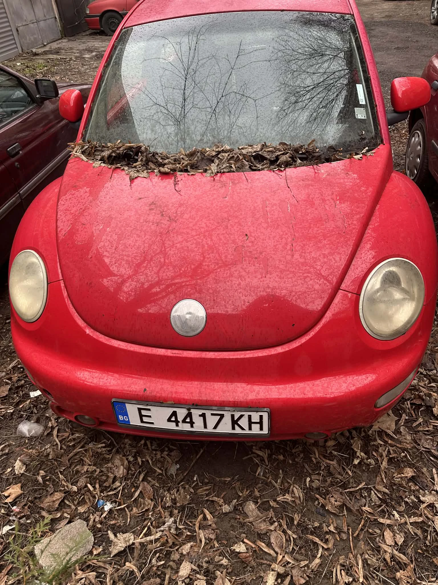 VW Beetle, снимка 1