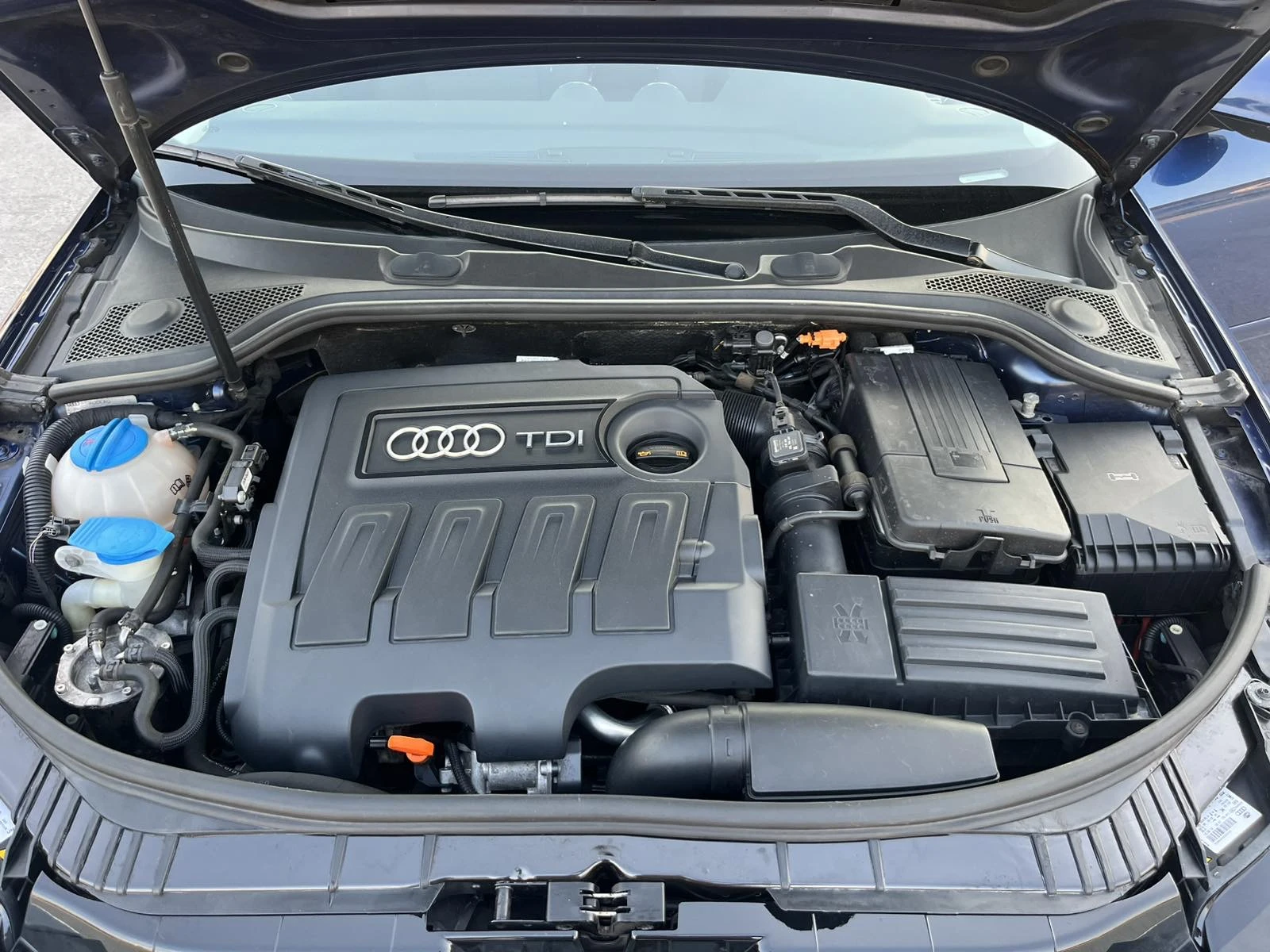 Audi A3 1.6TDI 105кс EURO 5A FACE КЛИМАТРОНИК АВТОПИЛОТ, снимка 15 - Автомобили и джипове - 55076200