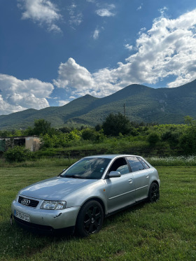 Audi A3 1.9TDI 110, снимка 2 - Автомобили и джипове - 46139194