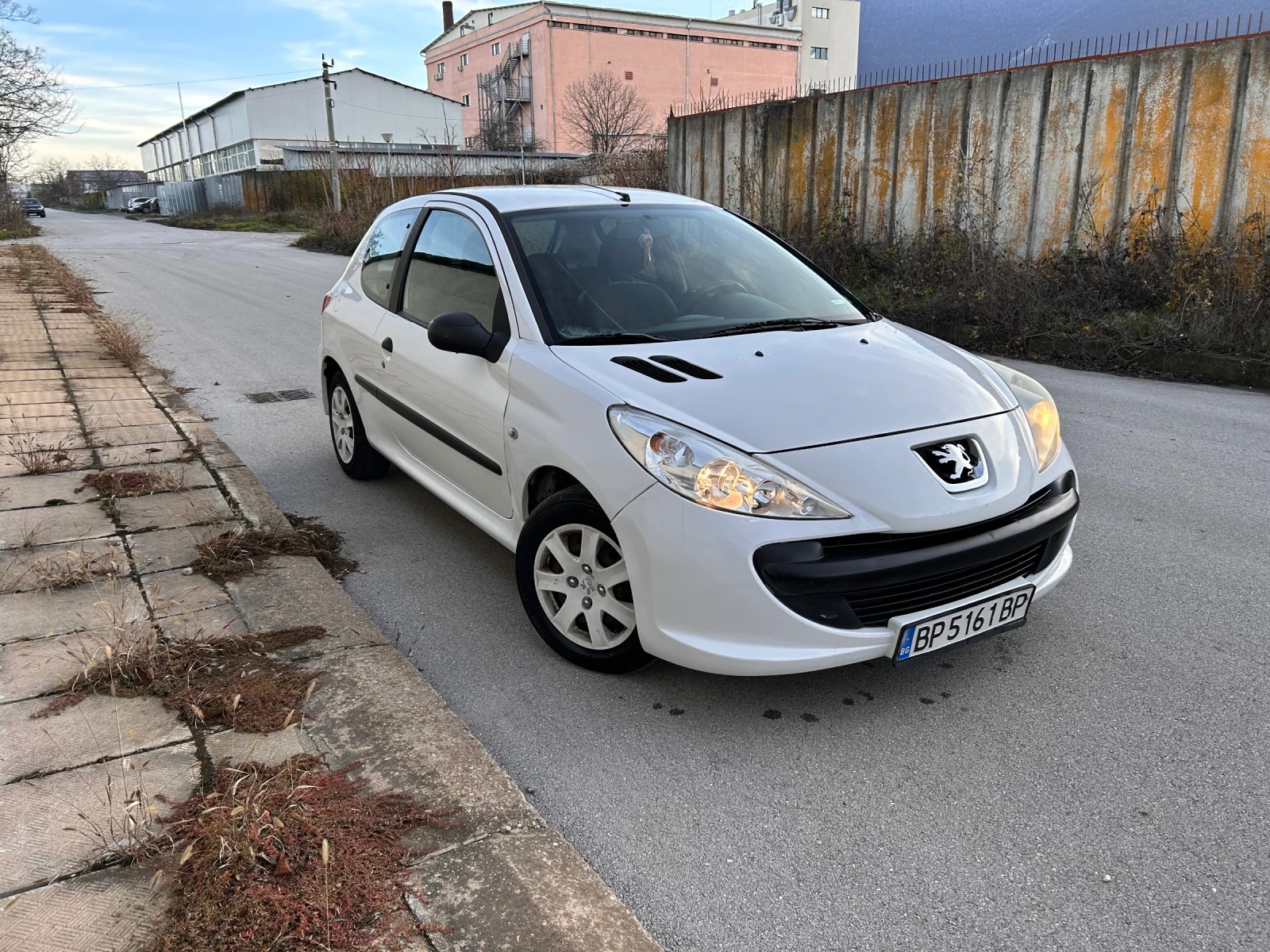 Peugeot 206 206+ , снимка 1