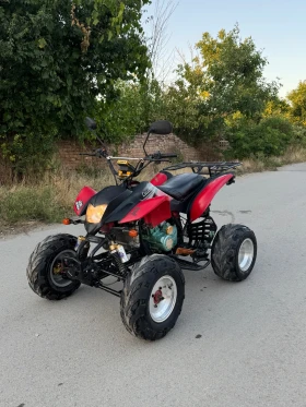 Bashan BS  250   | Mobile.bg    9