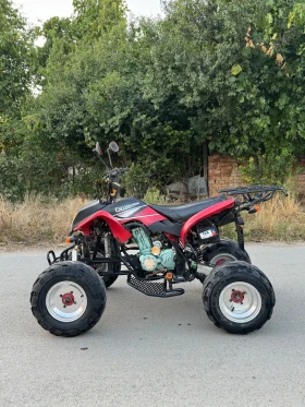 Bashan BS  250   | Mobile.bg    8
