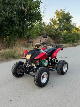     Bashan BS  250  