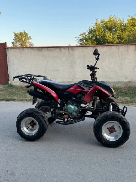 Bashan BS  250   | Mobile.bg    4
