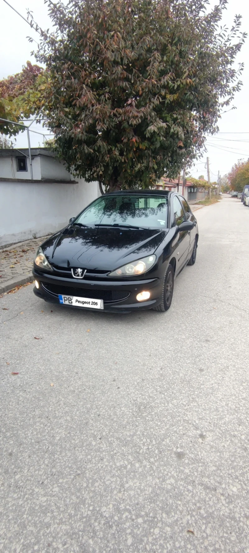 Peugeot 206, снимка 12 - Автомобили и джипове - 47823710