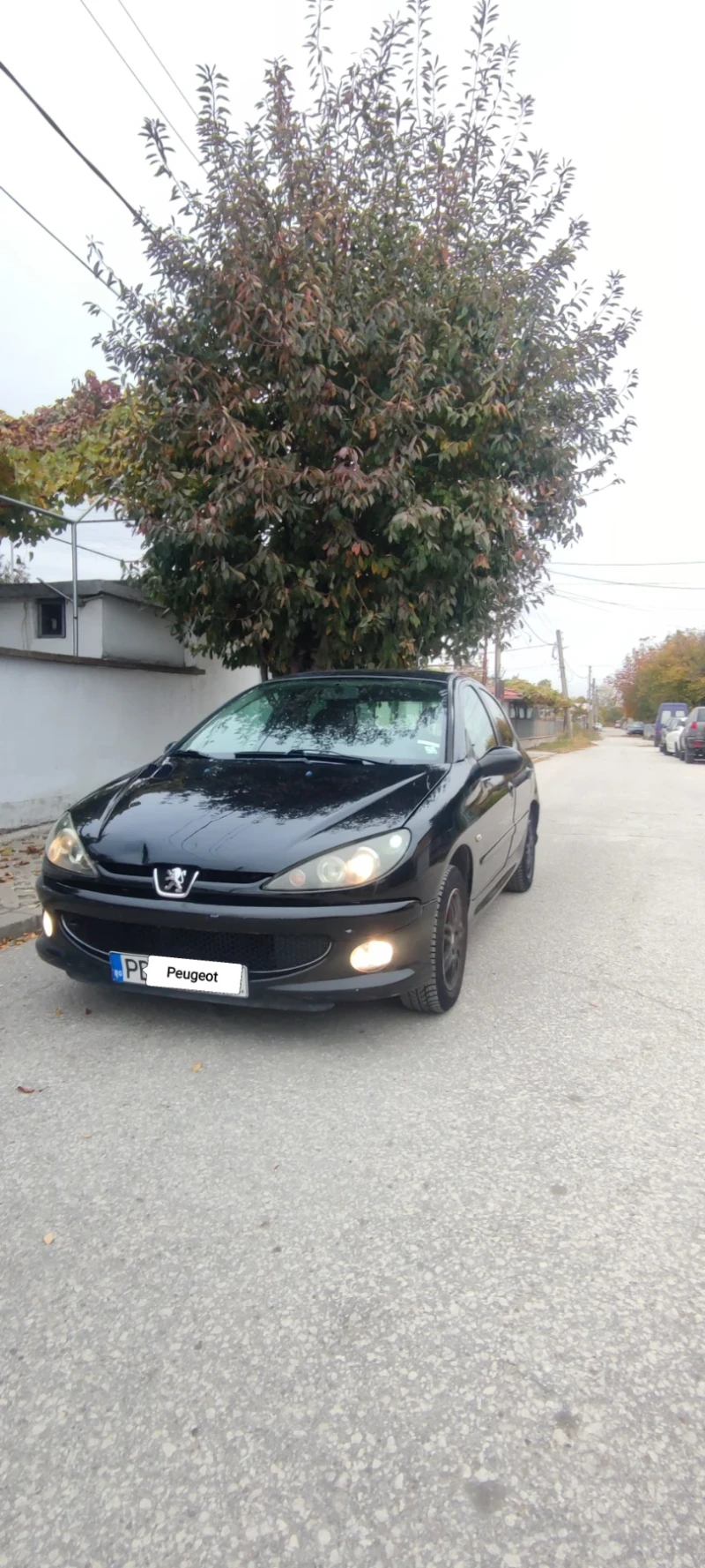 Peugeot 206, снимка 14 - Автомобили и джипове - 47823710