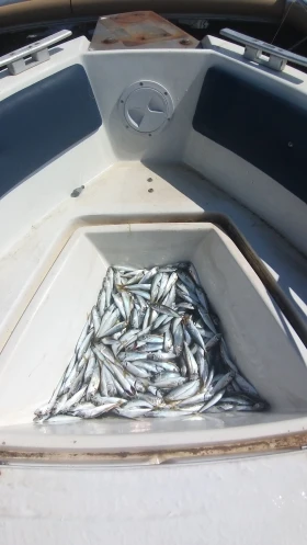 Обява за продажба на Лодка Собствено производство Salpa ~10 000 EUR - изображение 6