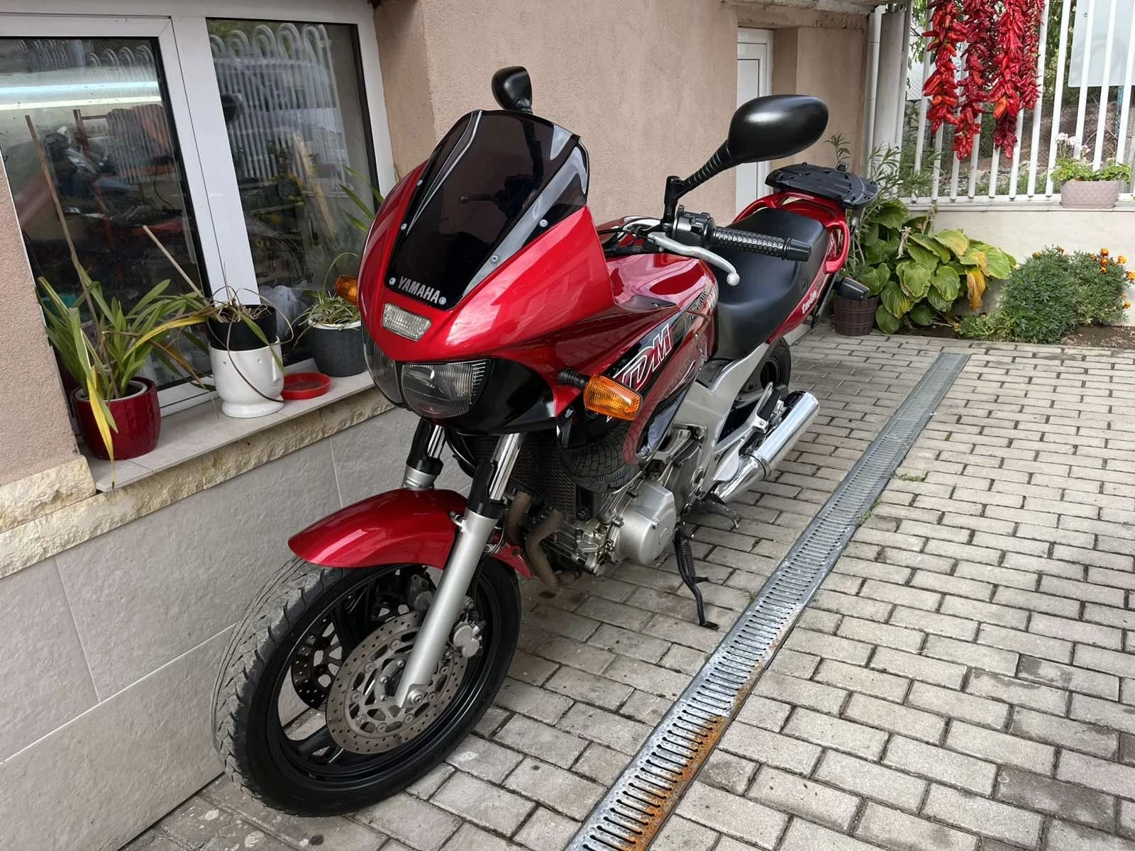 Yamaha Tdm  - изображение 5