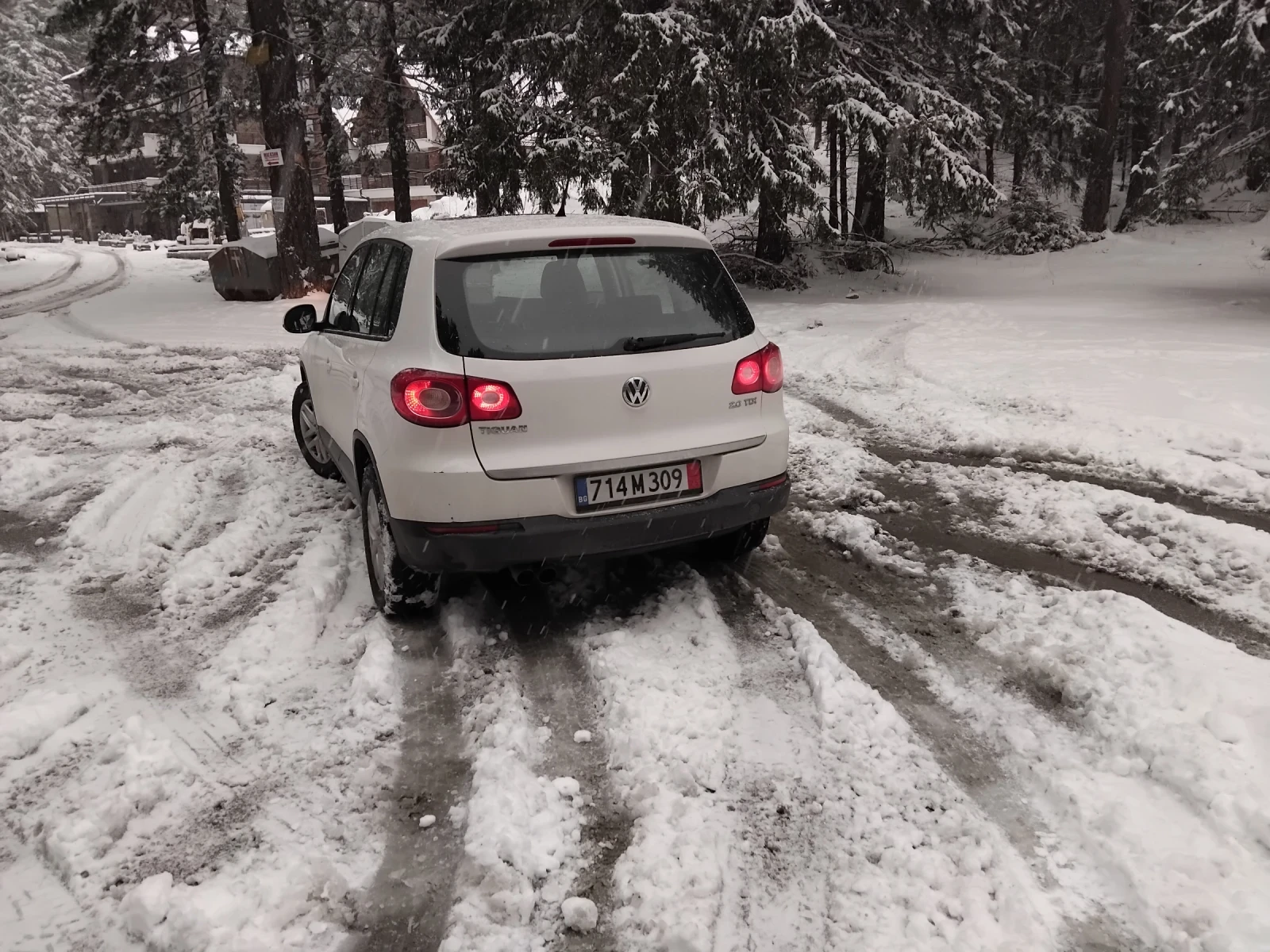 VW Tiguan  - изображение 7