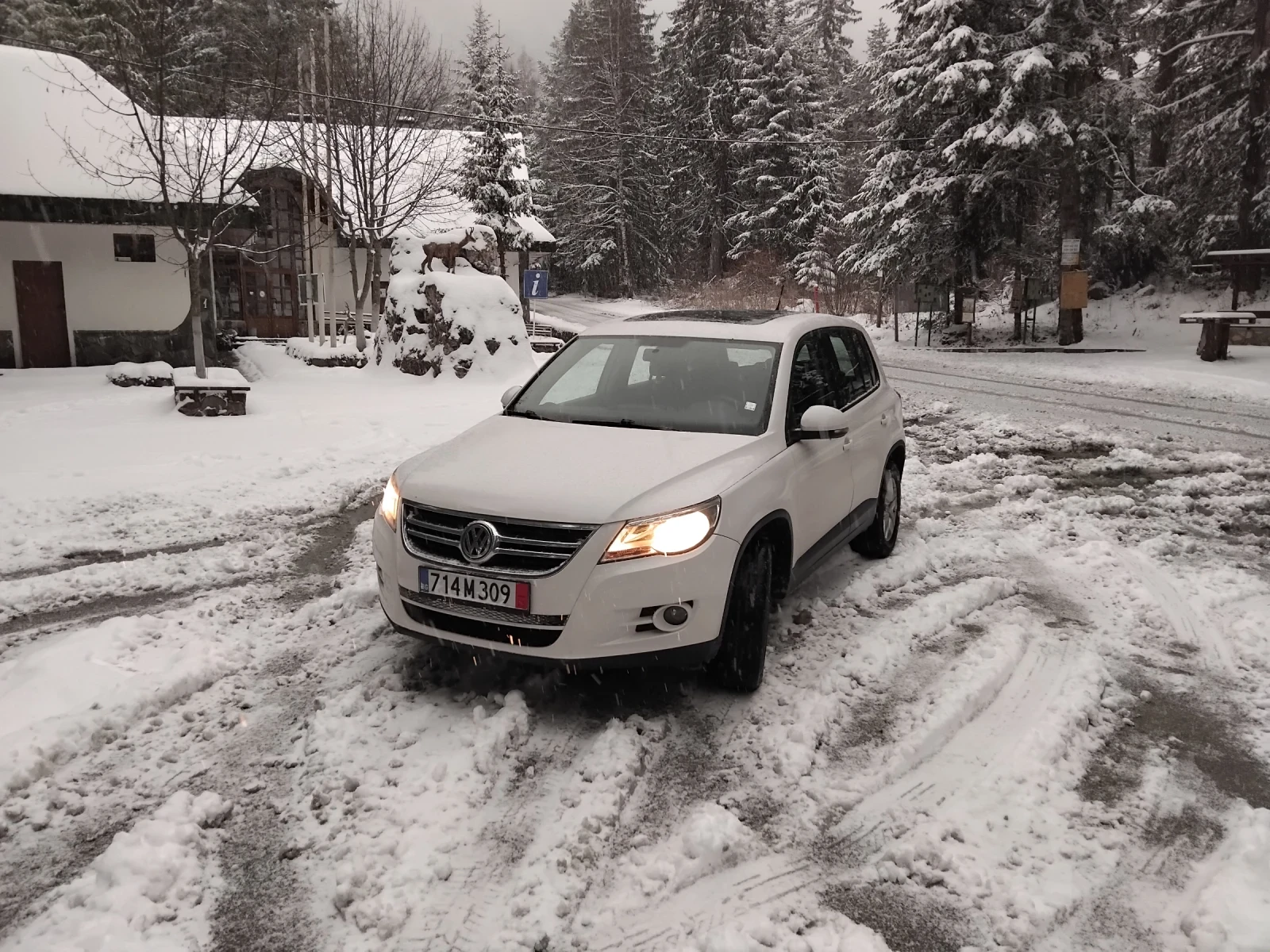 VW Tiguan  - изображение 2