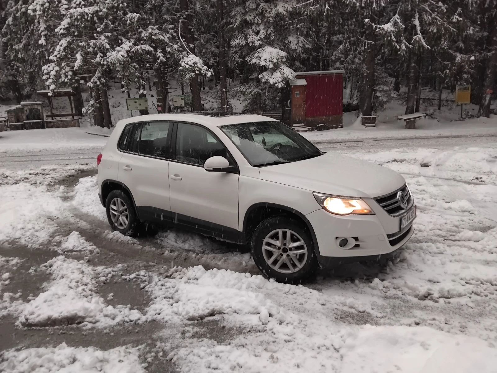 VW Tiguan  - изображение 3