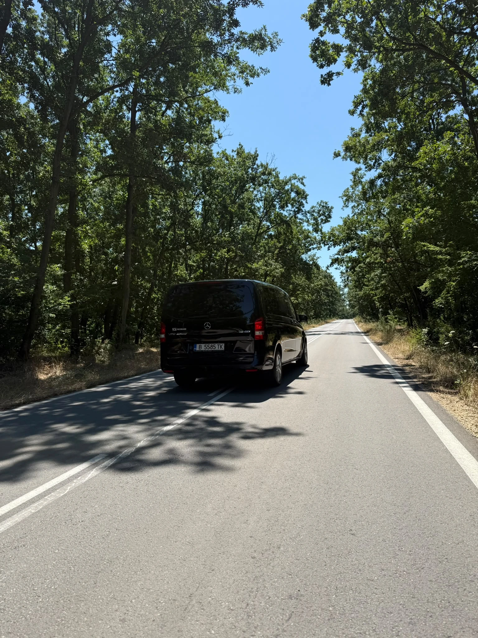 Mercedes-Benz Vito 116 CDI, снимка 14 - Бусове и автобуси - 55476967