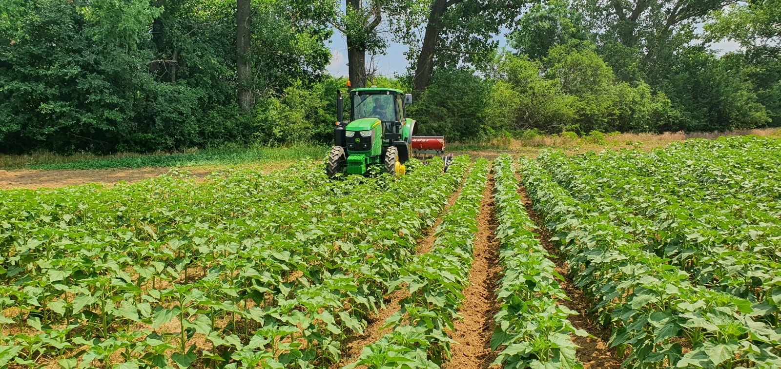  John Deere 6145 | Mobile.bg   16