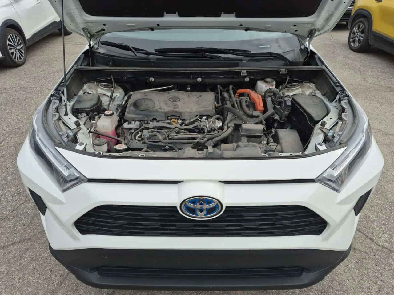 Toyota Rav4 * HYBRID XLE * CARFAX *  | Mobile.bg � ����������� 17