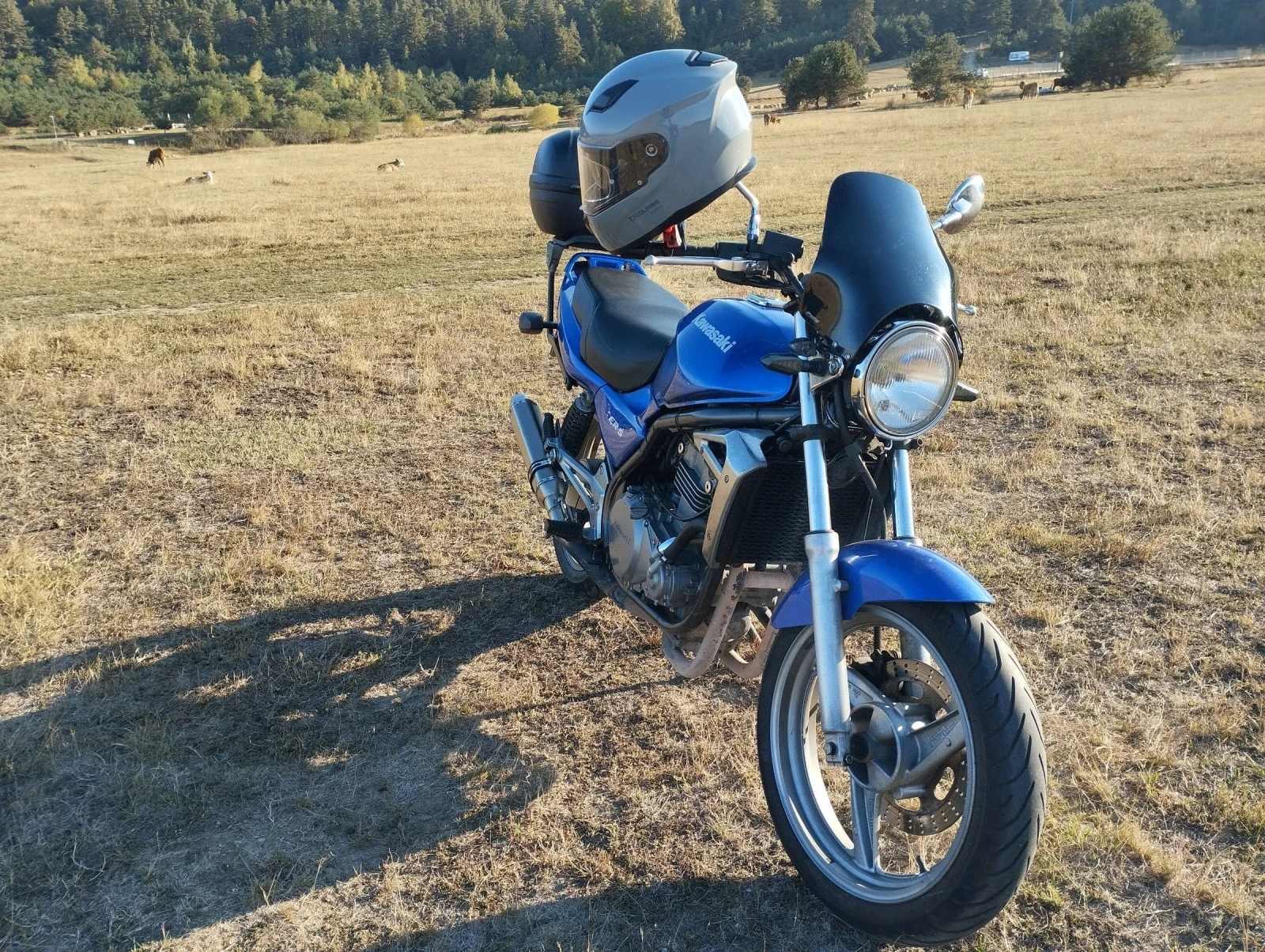 Kawasaki ER  - изображение 6