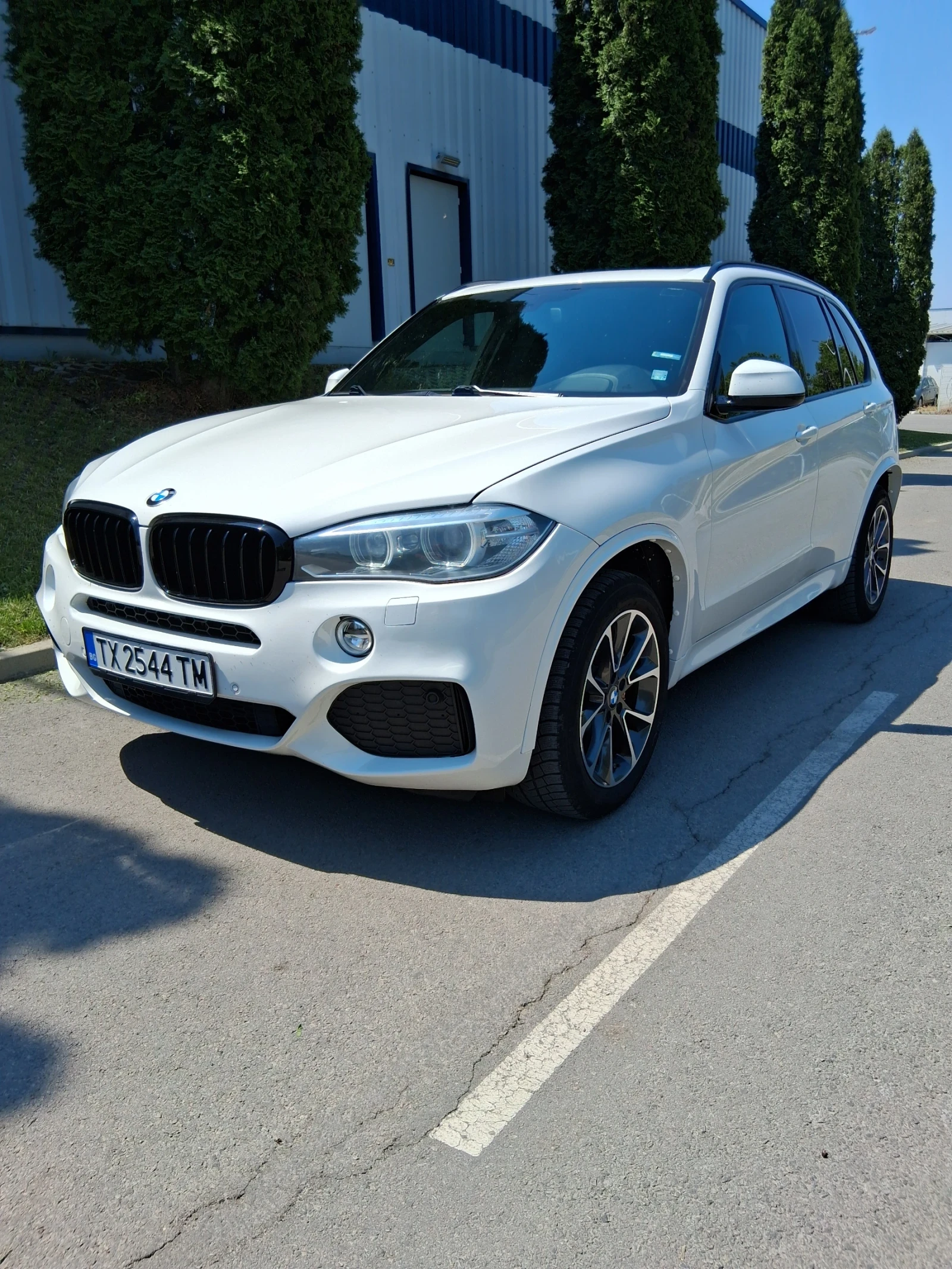 BMW X5  - изображение 6
