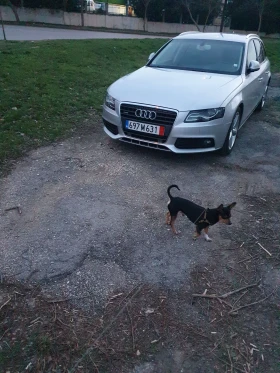 Audi A4 - 7700 € / 15059.89 лв. - 10253103 5