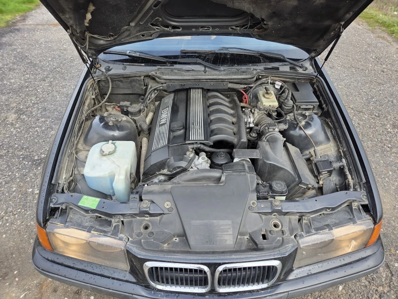 BMW 323 323ti, снимка 9 - Автомобили и джипове - 52958160