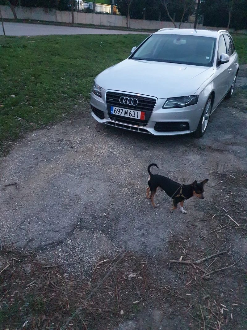 Audi A4, снимка 5 - Автомобили и джипове - 53387451