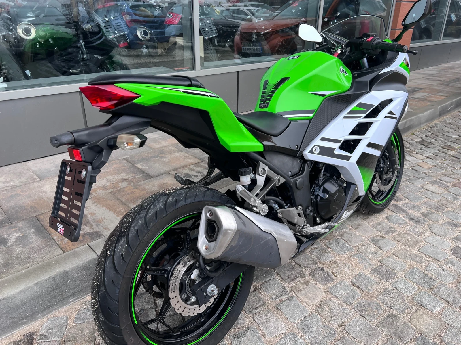 Kawasaki EX 300 - изображение 3