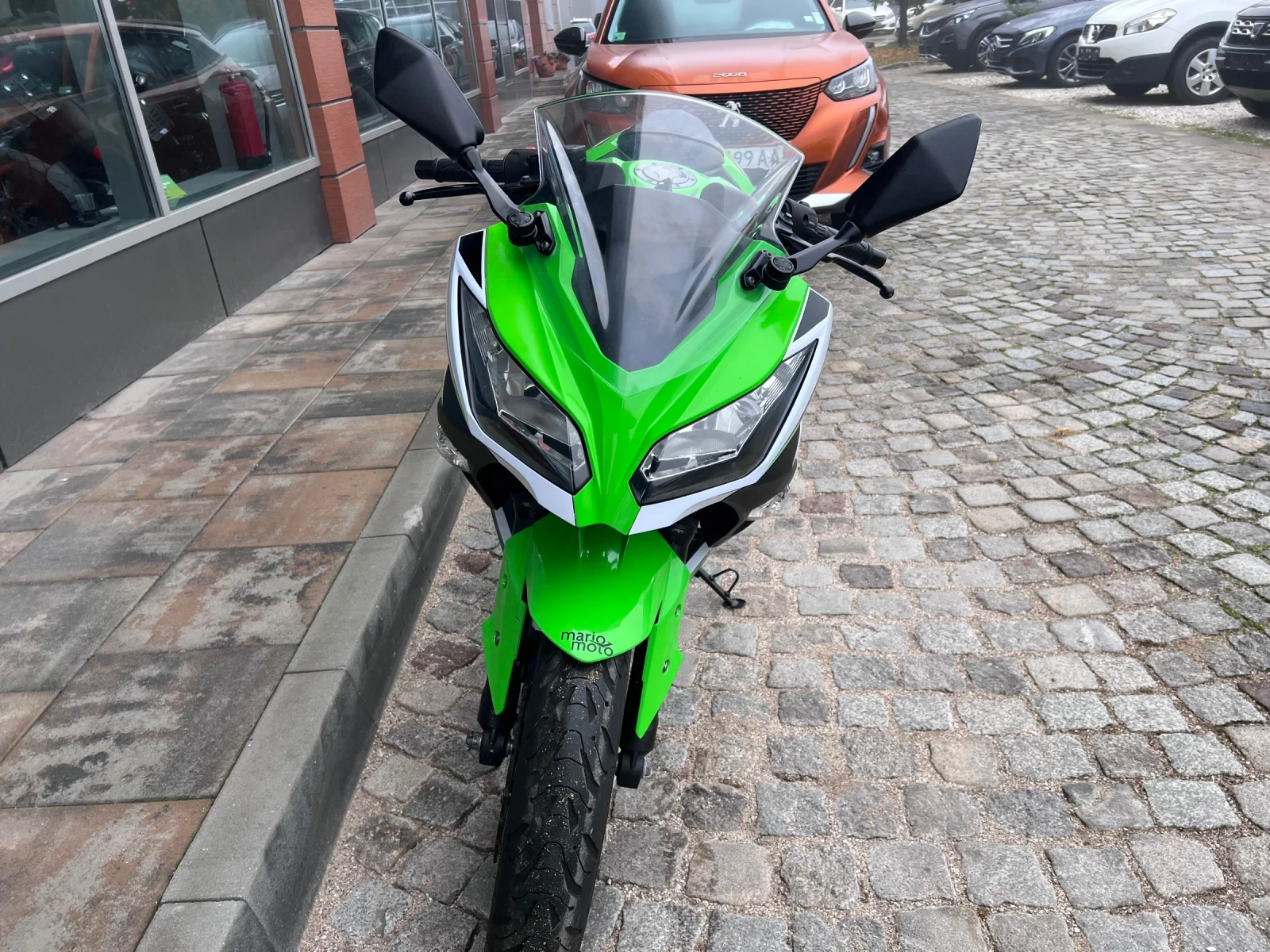 Kawasaki EX 300 - изображение 9