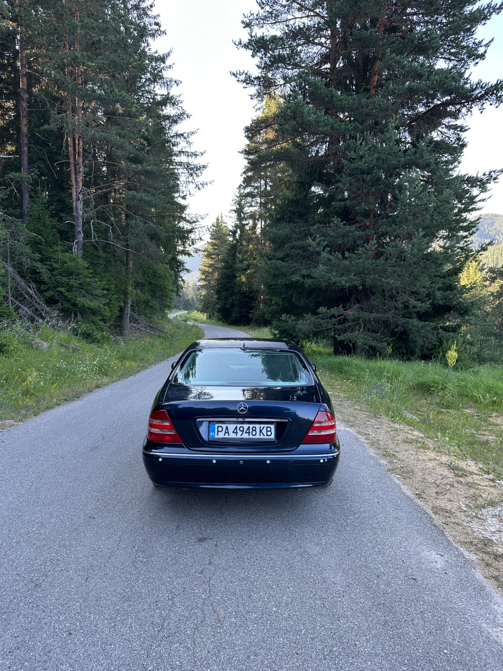Mercedes-Benz S 320  - изображение 5