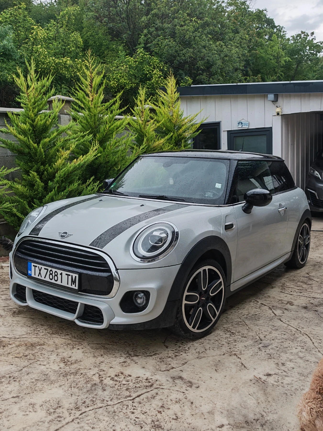 Mini Cooper Mini Cooper Works | Mobile.bg � ����������� 1