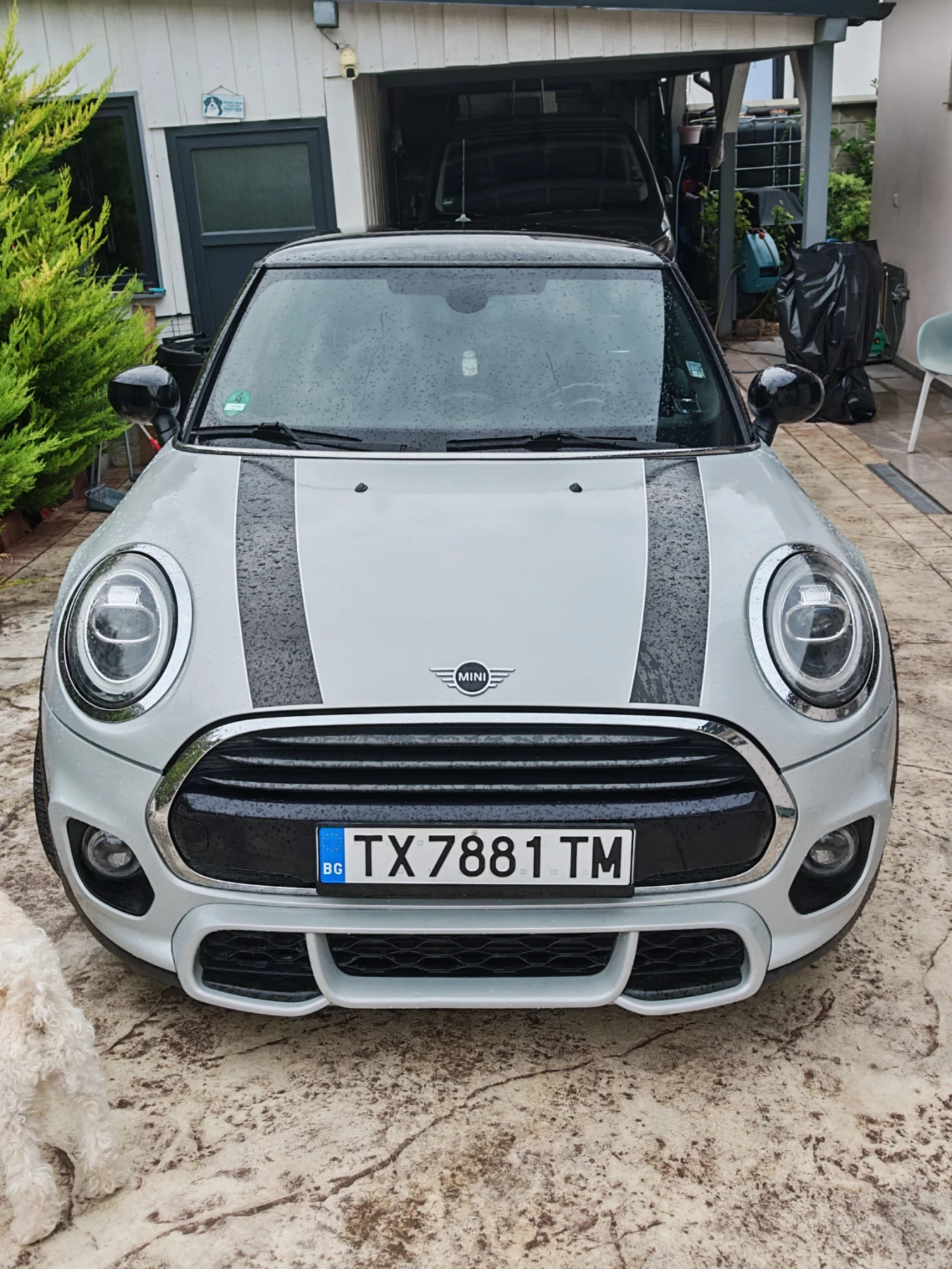 Mini Cooper Mini Cooper Works | Mobile.bg � ����������� 2