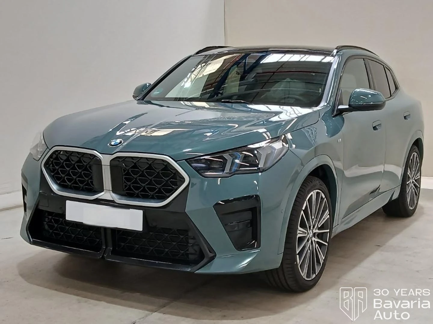 BMW X2 20d xDrive M Sport Paket