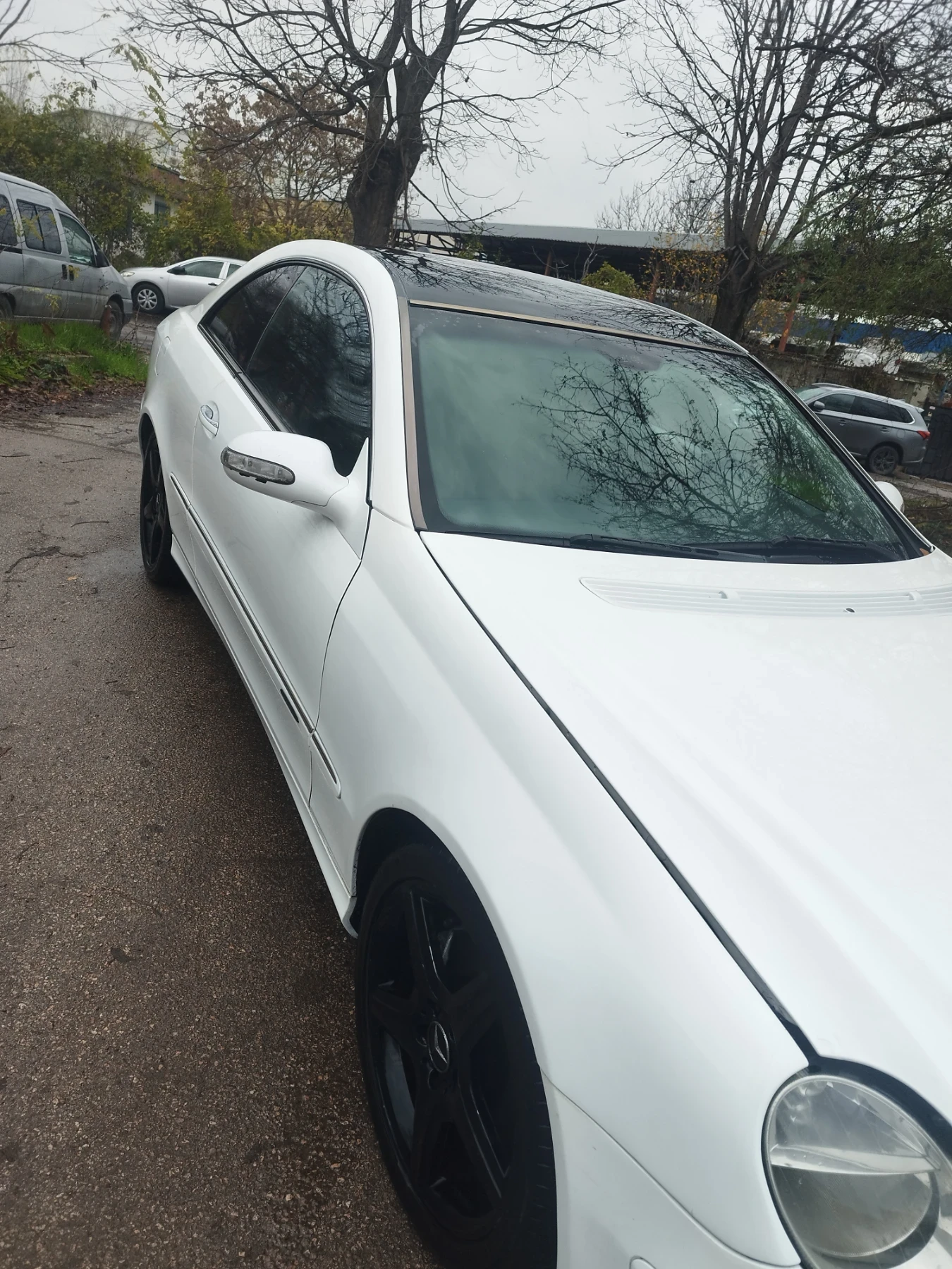 Mercedes-Benz CLK 240 | Mobile.bg � ����������� 13