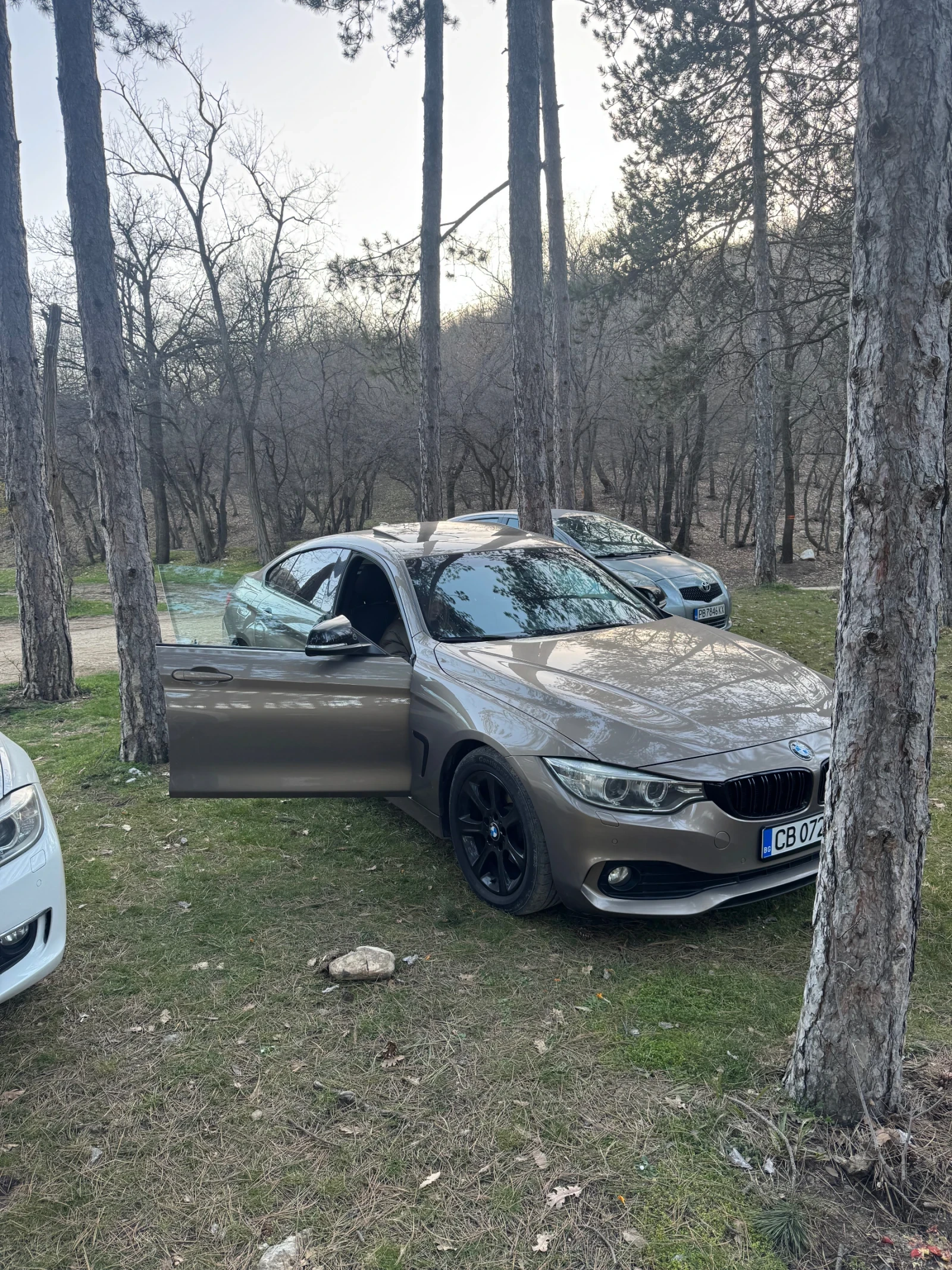 BMW 420, снимка 4 - Автомобили и джипове - 54395918