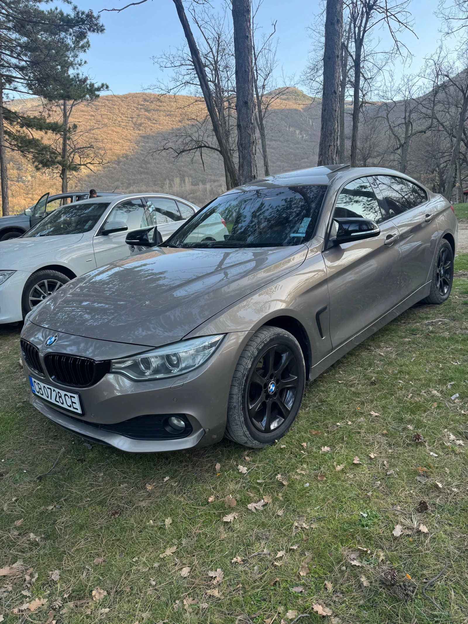 BMW 420, снимка 3 - Автомобили и джипове - 54395918