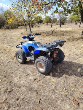  E-ton Yukon 150cc  | Mobile.bg    5