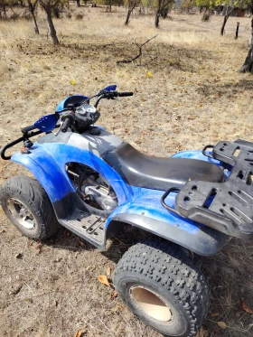  E-ton Yukon 150cc  | Mobile.bg    7