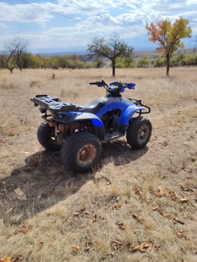  E-ton Yukon 150cc  | Mobile.bg    4