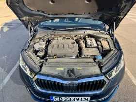 Skoda Octavia 2.0 TDI Edition - 42290 лв. / 21622.53 € - 14649209 13