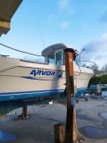 Лодка Quicksilver ARVOR - изображение 3