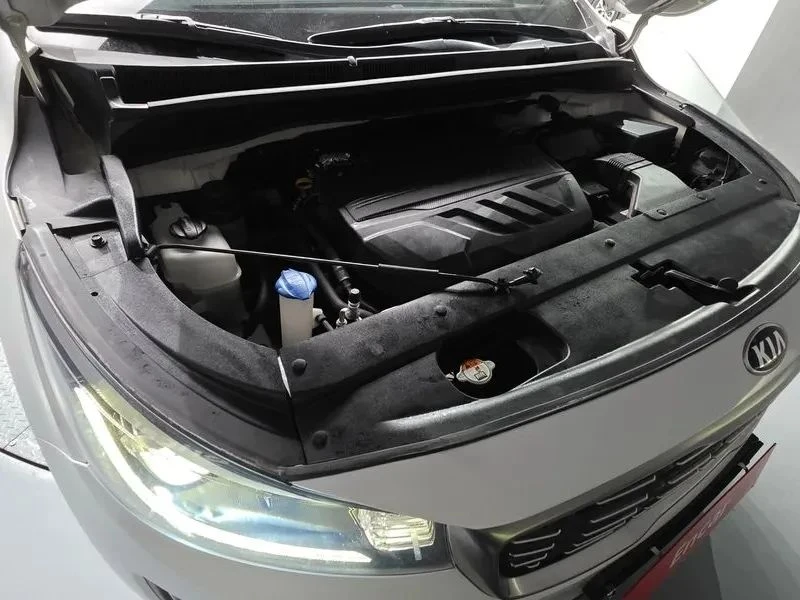Kia Carnival, снимка 6 - Автомобили и джипове - 56689501