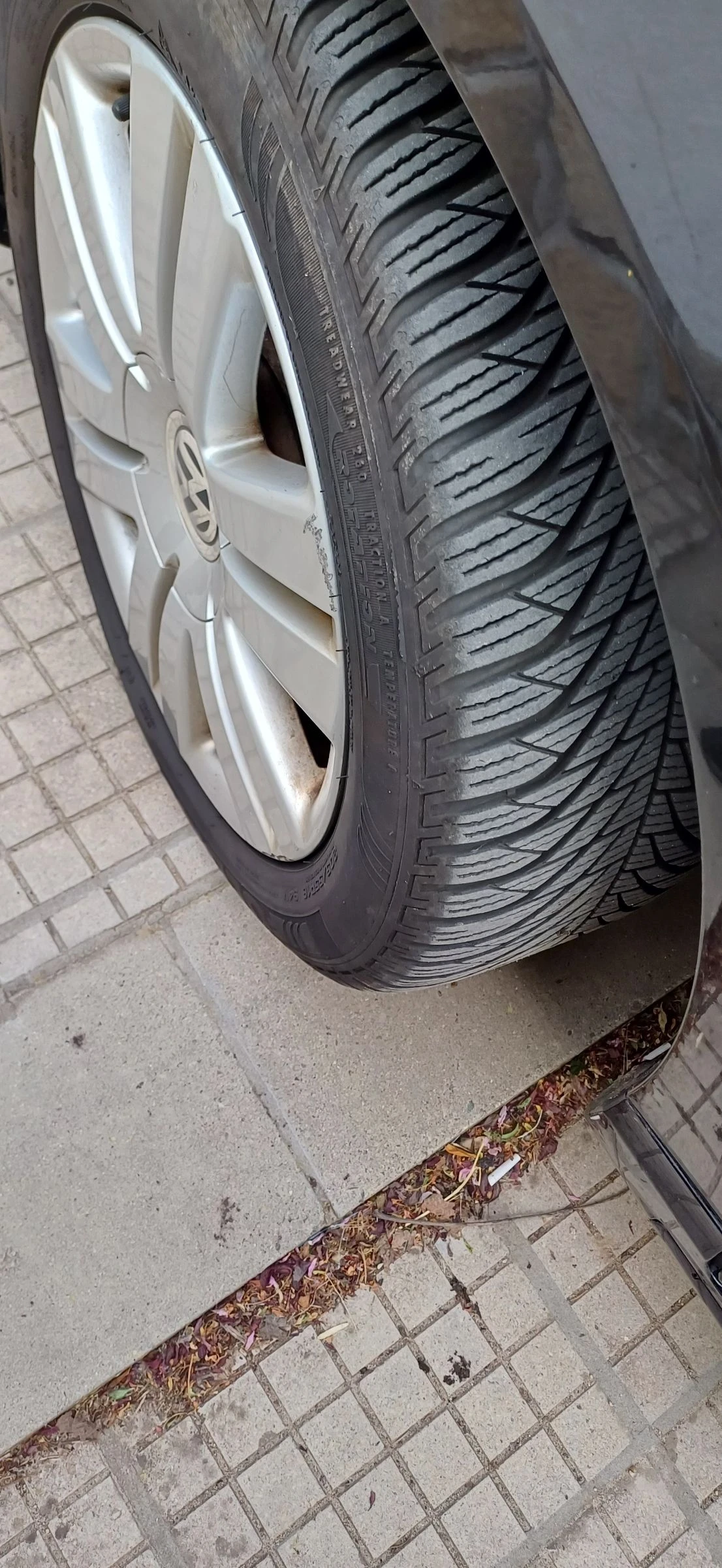 VW Passat  - изображение 6
