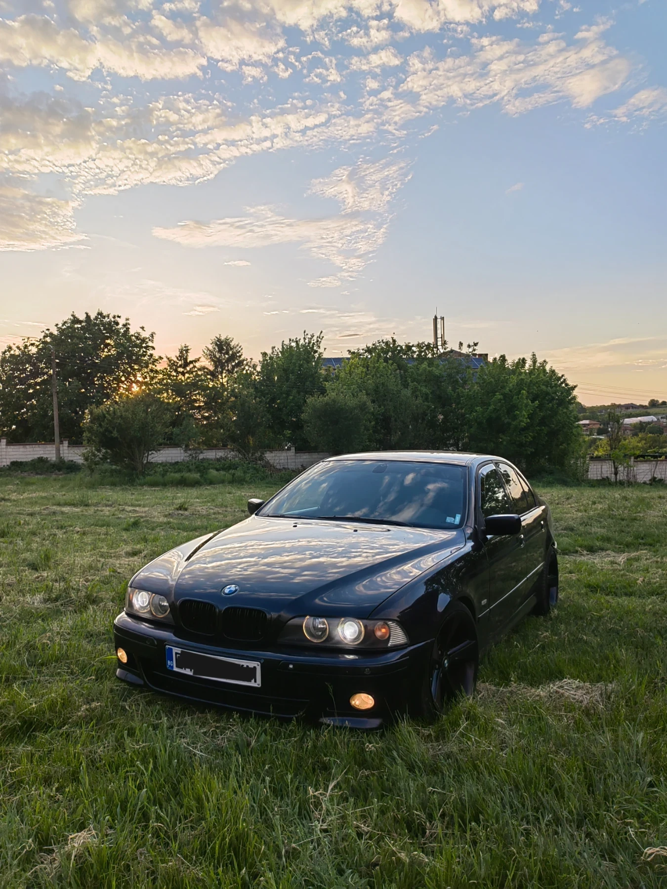 BMW 525 525i - изображение 5