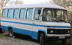 Mercedes-Benz 309  - изображение 1