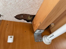 Кемпер Fiat DUCATO 2.8TD, снимка 11