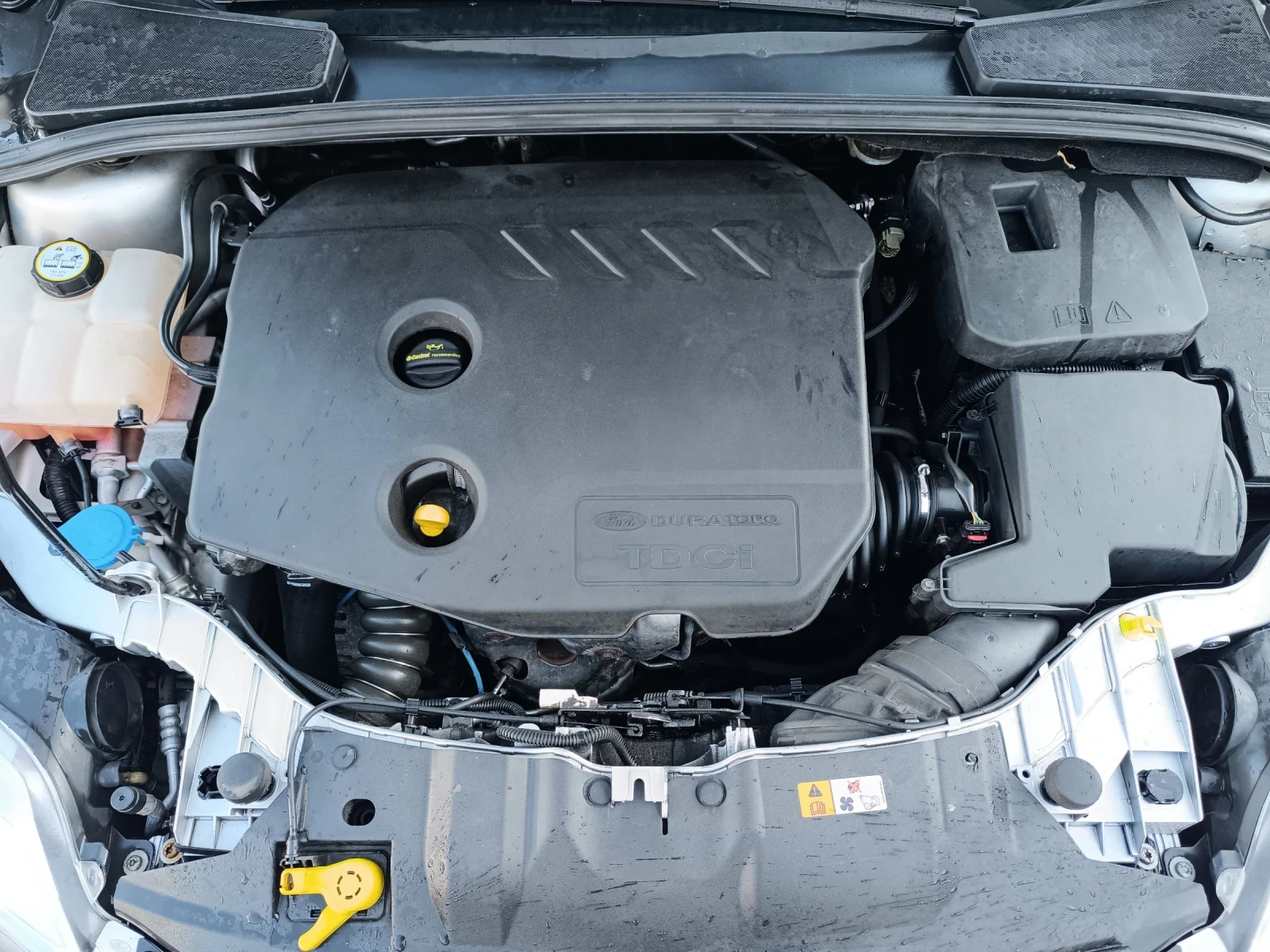 Ford Focus 1.6 TDCI 95��. ������� ��������!! FULL SERVICE!! | Mobile.bg � ����������� 14