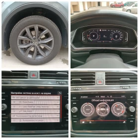 VW Tiguan Digital, Distronic, , 44,    | Mobile.bg    17