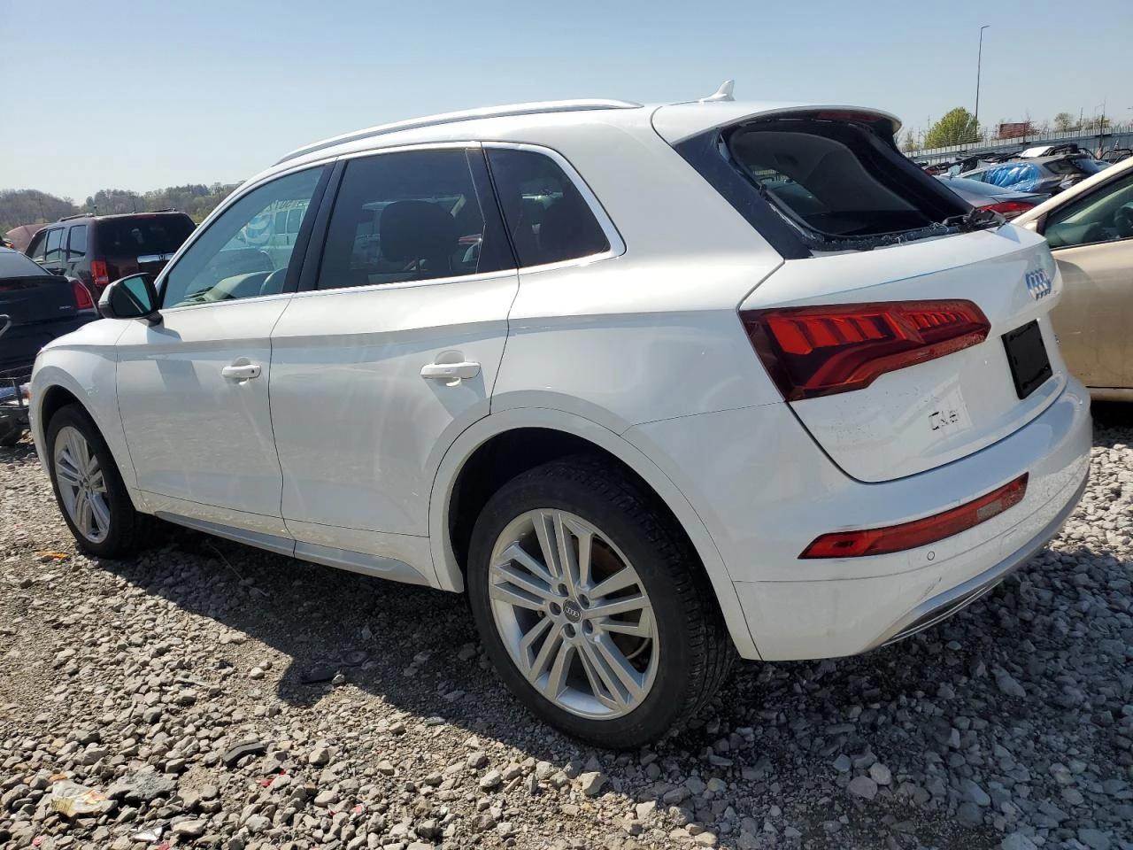Audi Q5 Premium Plus - изображение 4