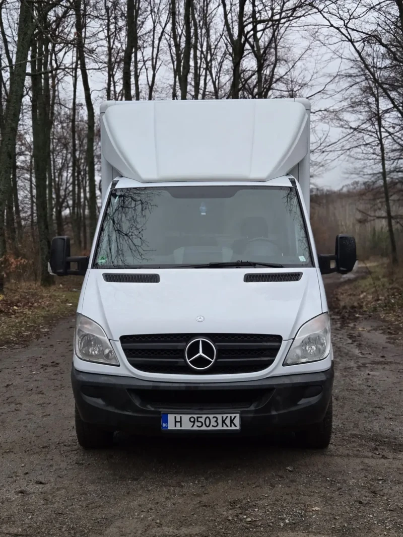 Mercedes-Benz Sprinter 316, снимка 2 - Бусове и автобуси - 48469924