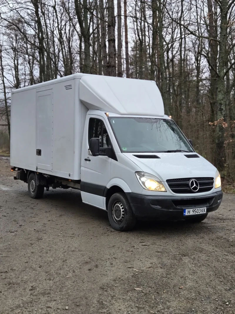 Mercedes-Benz Sprinter 316, снимка 3 - Бусове и автобуси - 48469924