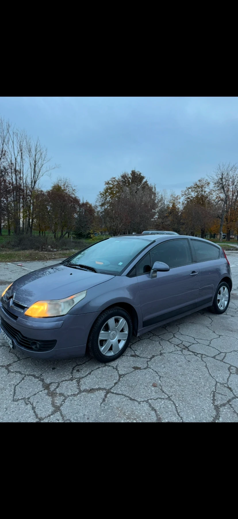 Citroen C4, снимка 2 - Автомобили и джипове - 54240307