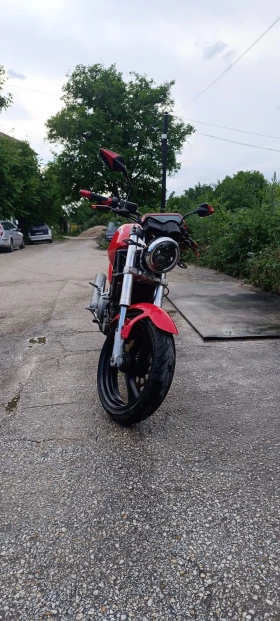 Ducati Monster M600 | Mobile.bg    2