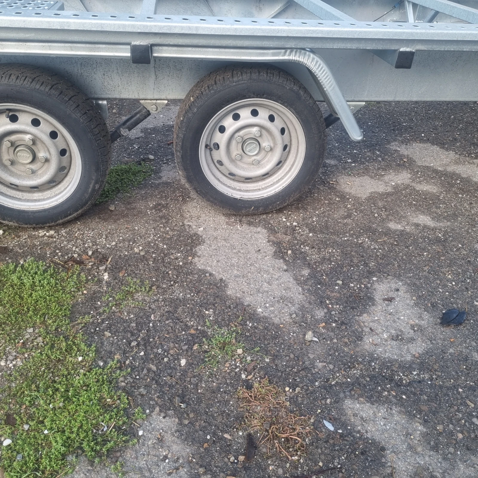   NIEWIADOW   | Mobile.bg   1